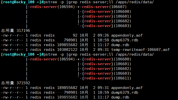 image-20221002093612254