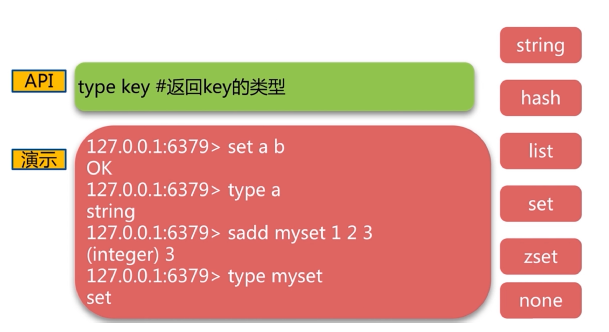 image-20221002105606690