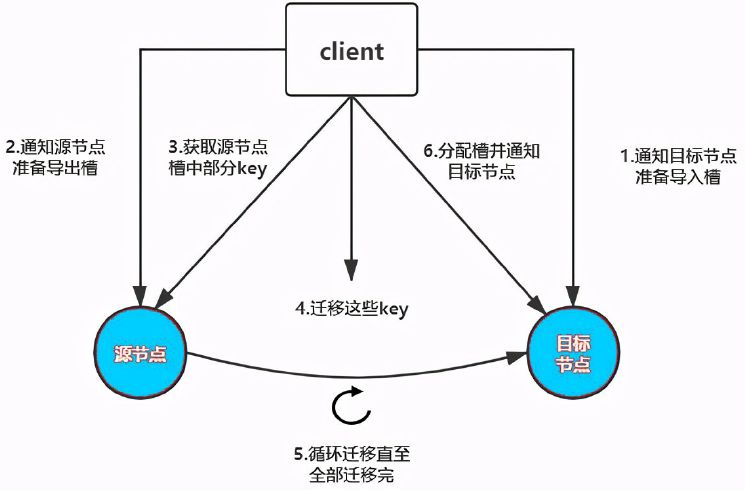 image-20221008003954178