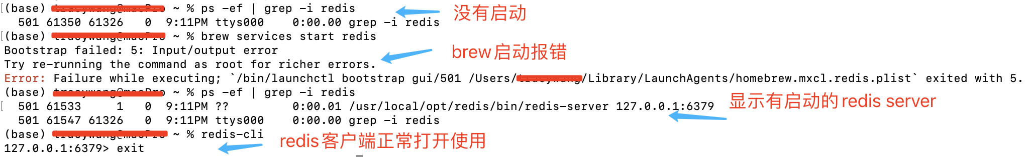 brew启动报错但可以运行