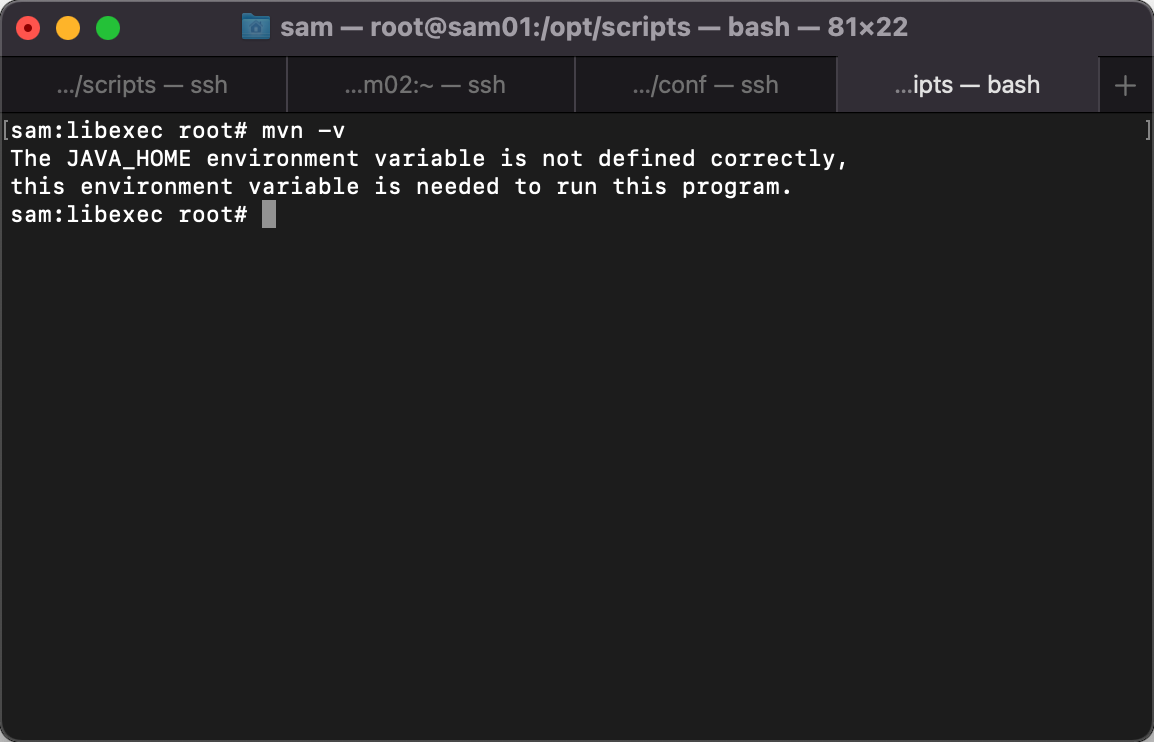 Shell Check If Environment Variable Is Defined