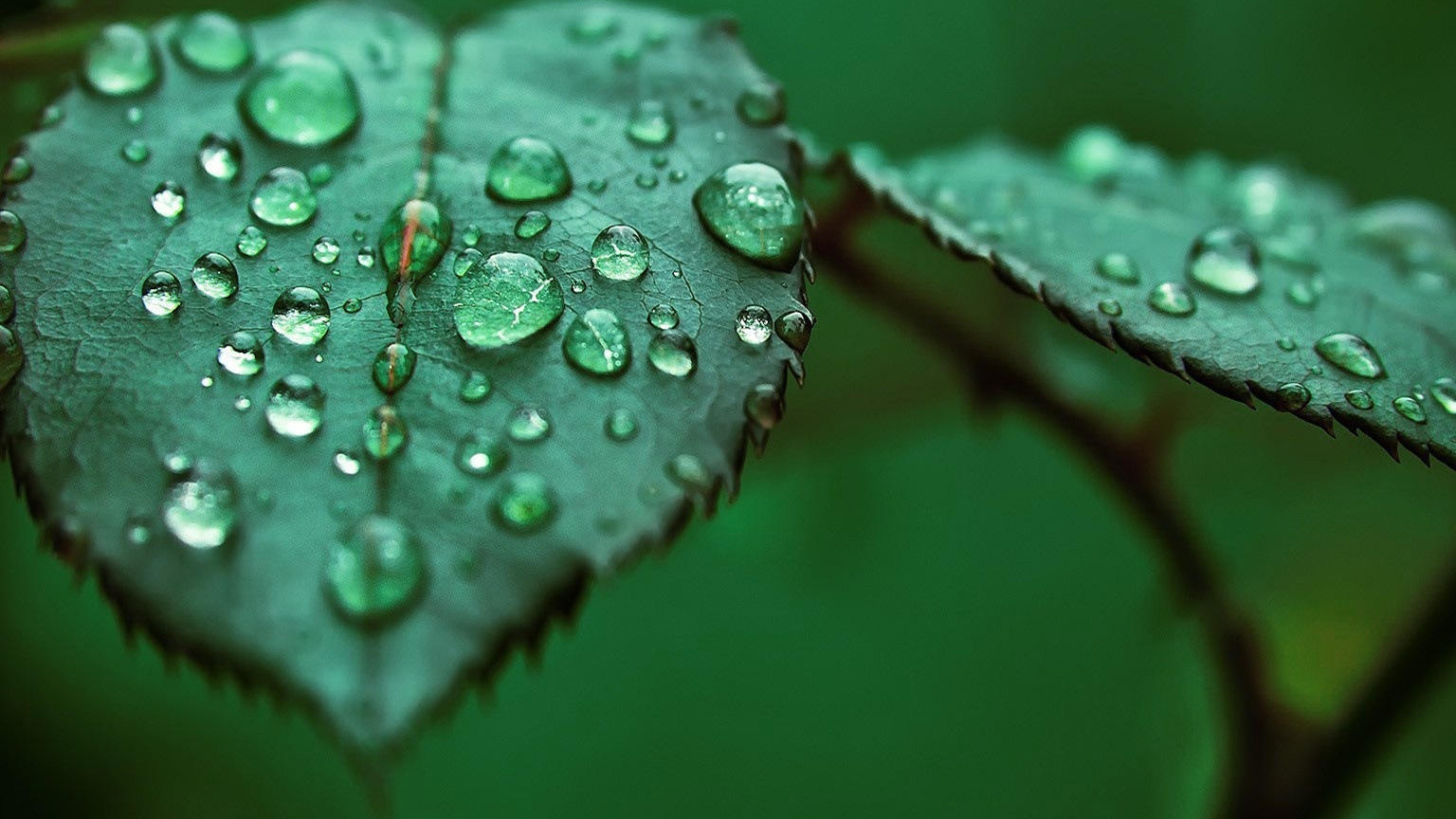 idea-自动保存设置+确保修改正确