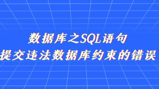 新阁上位机开发——数据库之SQL语句提交违法数据库约束的错误