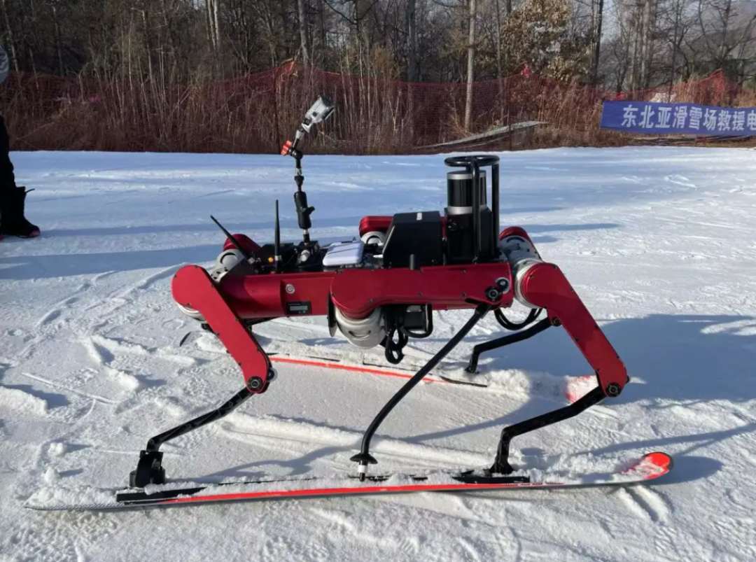 20227冬奥会中的机器人