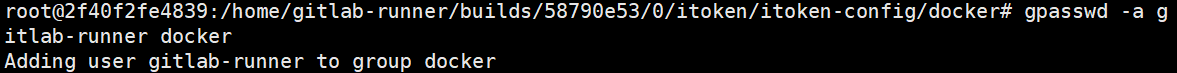 gpasswd -a gitlab-runner docker