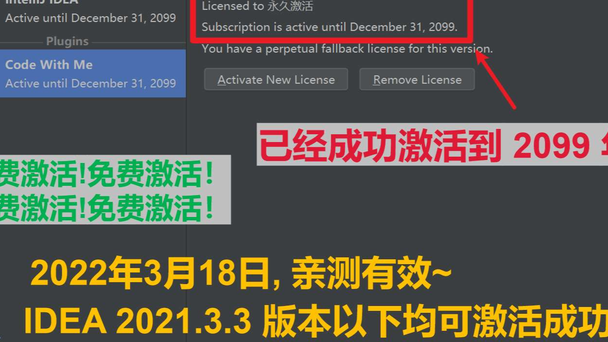 【亲测】IDEA激活教程2021.3.3版本
