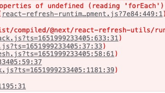 关于Next.js项目启动后页面空白（控制台报错）问题的排查