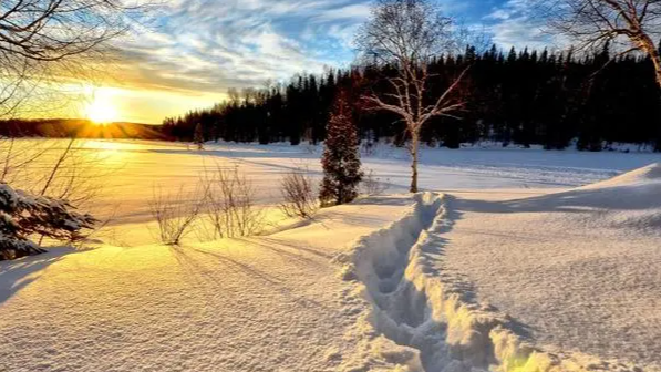 应届生-从想混着过到真正的热爱编程