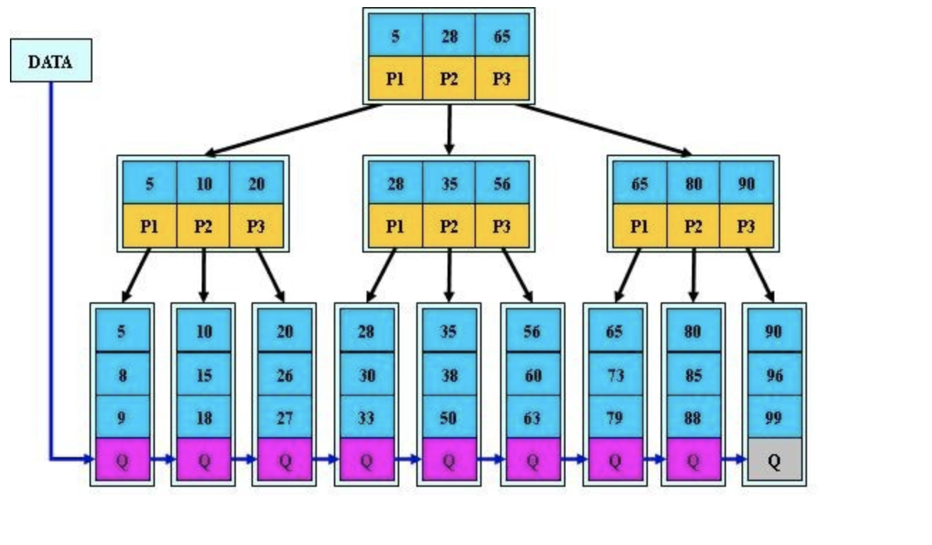 B+ 树结构