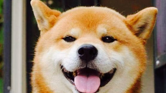 03 二叉树相关的经典编程题