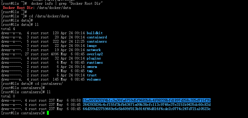 TRUNK - 新品未使用 TRUNC ３点セットの+stbp.com.br