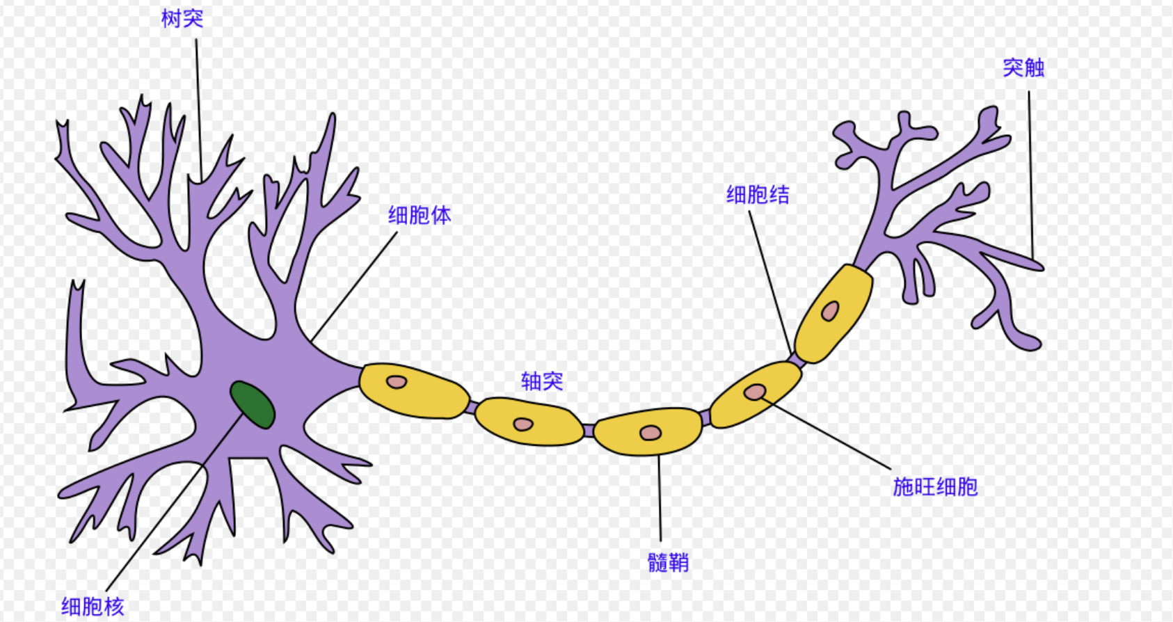 image-20220505163746643