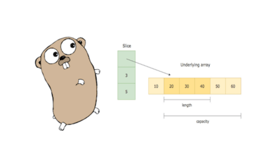 Go语言切片一网打尽，别和Java语法傻傻分不清楚