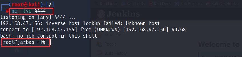 image-20221125224814118