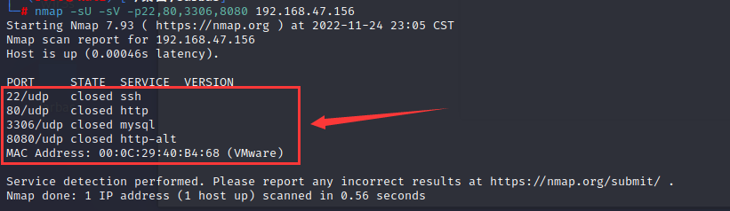 image-20221124233440334
