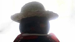 哈哈,小域名,我明年就要来买你了😂