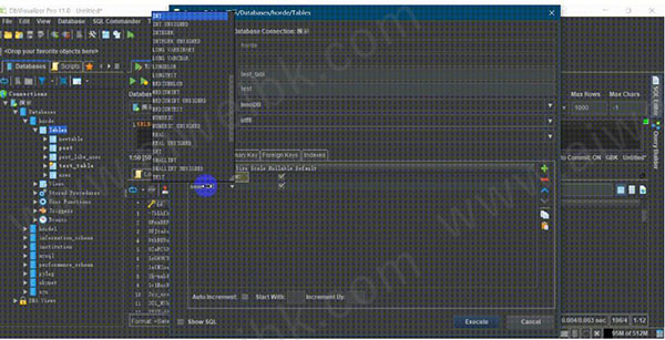 DbVisualizer使用教程