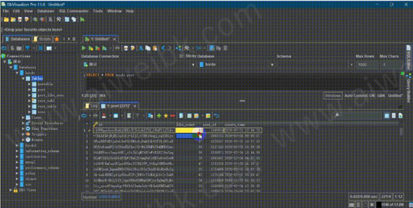 DbVisualizer使用教程