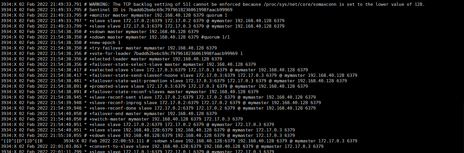 image-20220202222220404