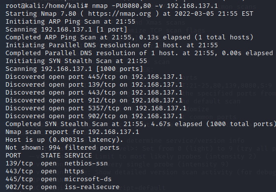 UDP Ping 掃描