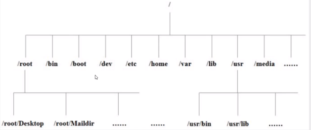 image-20210531205217833