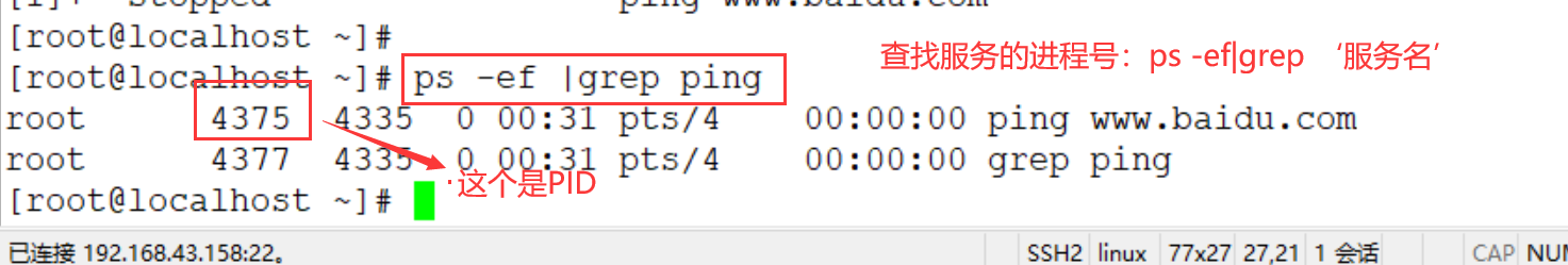 查找服务进程号
