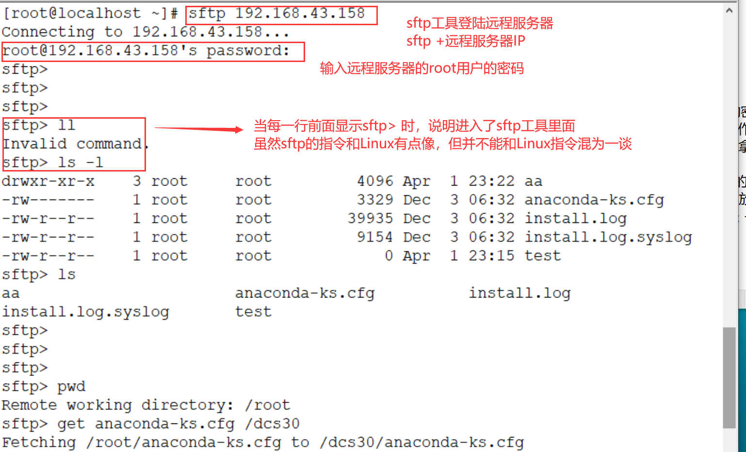 sftp工具登录远程服务器
