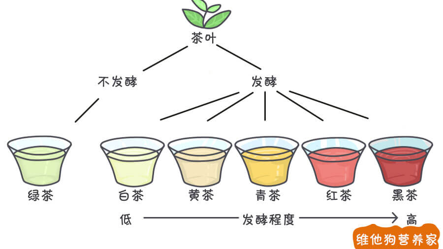 茶知识