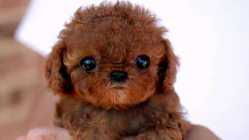 发布第一篇文章，HelloWorld