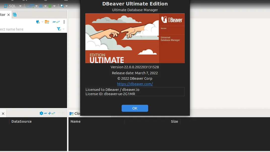 DBeaver Ultimate Edtion 22.1 Multilingual (macOS, Linux, Windows) - 通用数据库工具