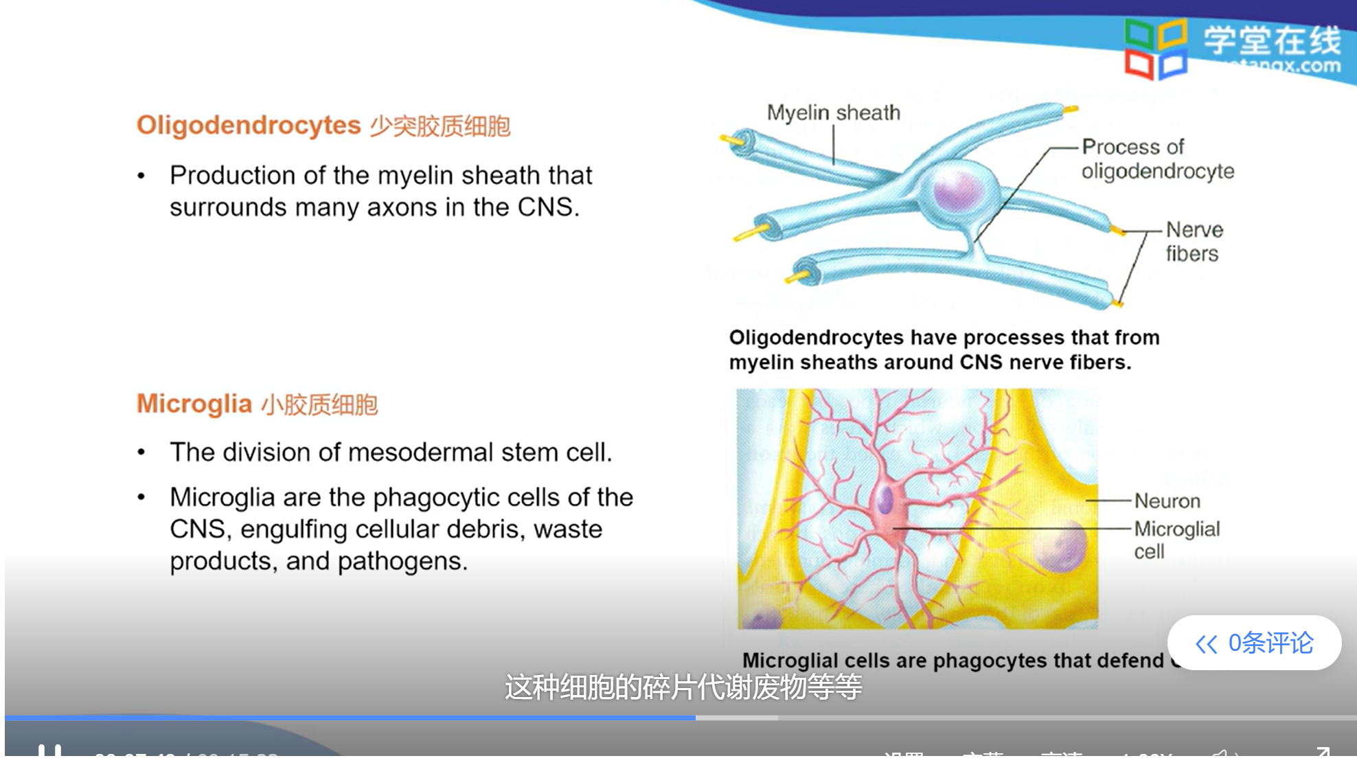 2022-09-神经解剖学-周围神经系统-第二章(神经组织)-清华大学-刘津平 