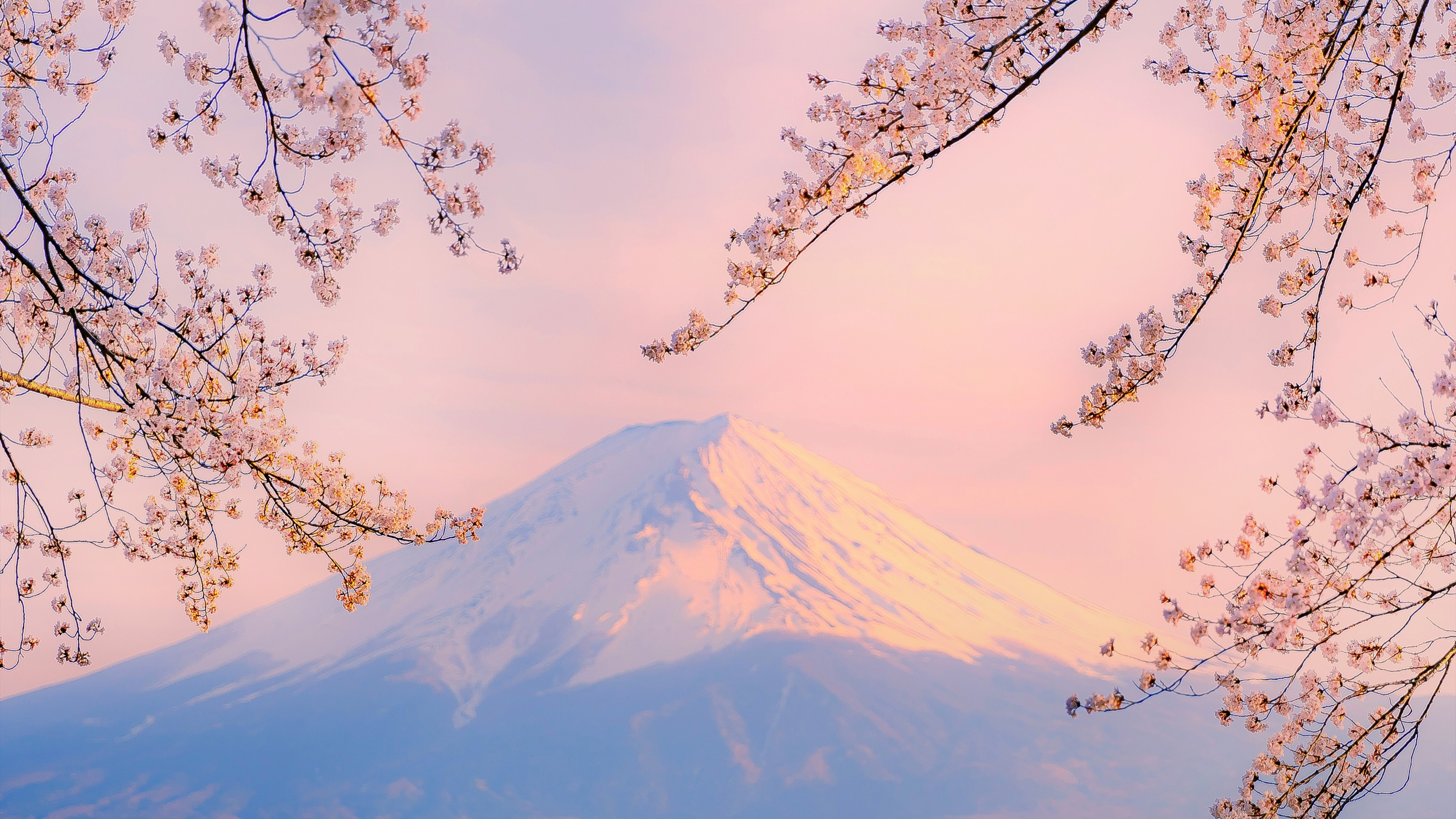 第十一届蓝桥杯第二场省赛C/C++B组题目及部分题解