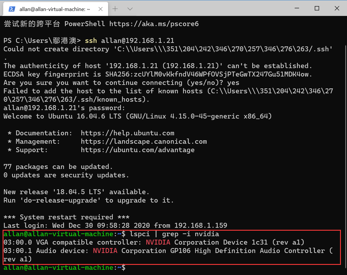 image-20201230104206682