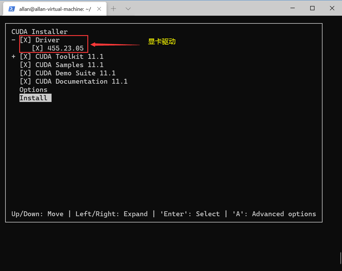 image-20201230111022922