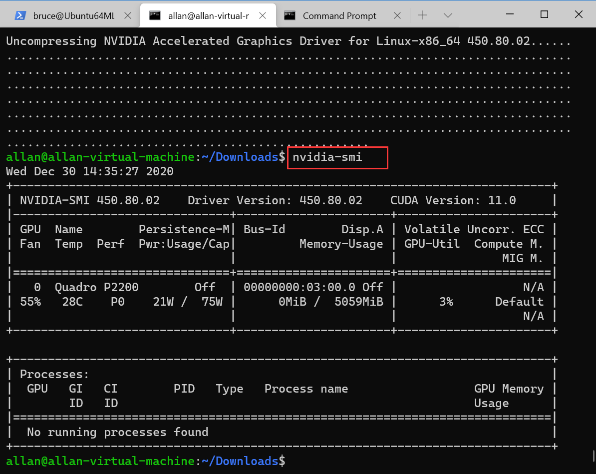 image-20201230143650071