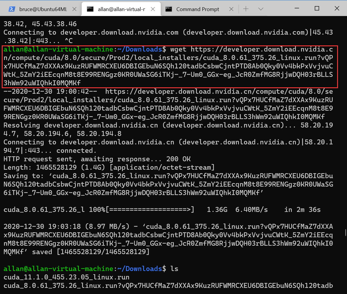 image-20201230191749852