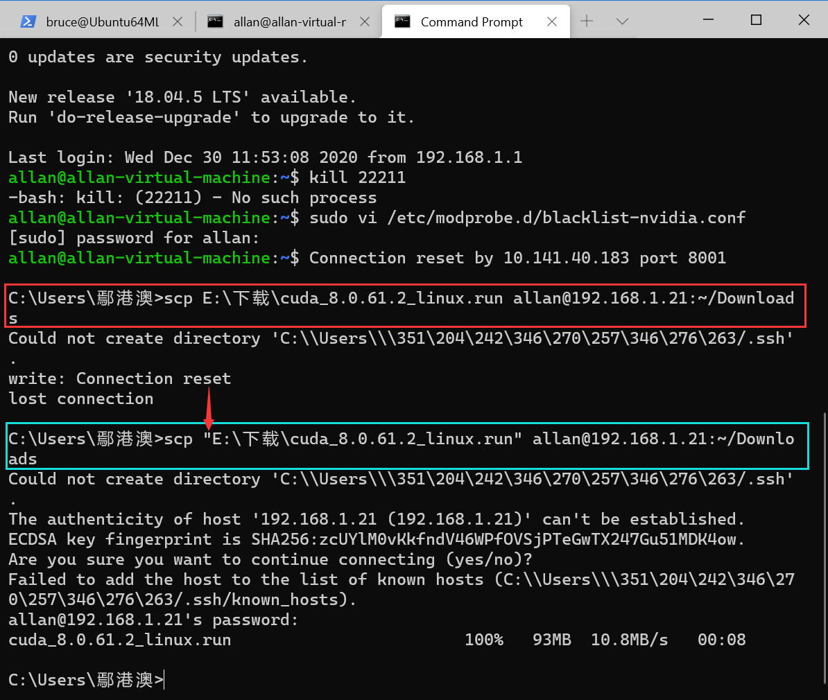 image-20201230193951732