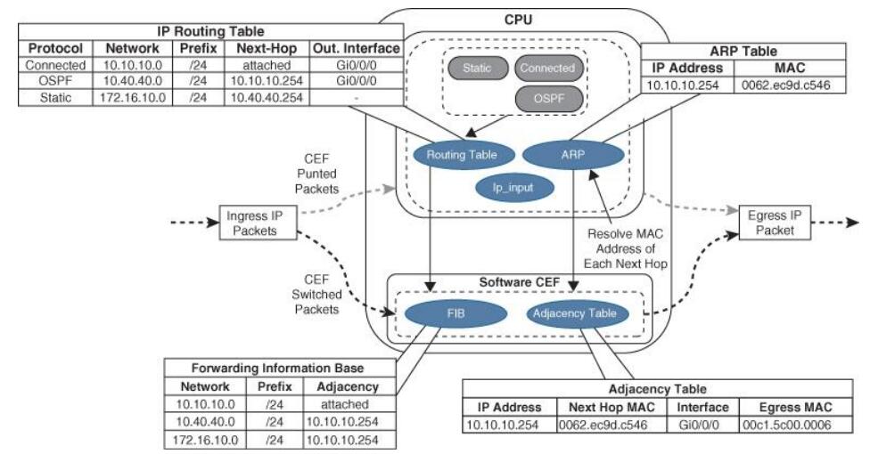 Data_Forwarding-1