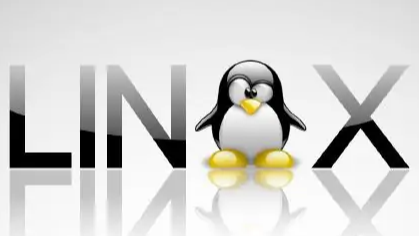 Linux菜鸟笔记