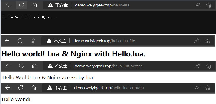 WeiyiGeek.demo.weiyigeek.top