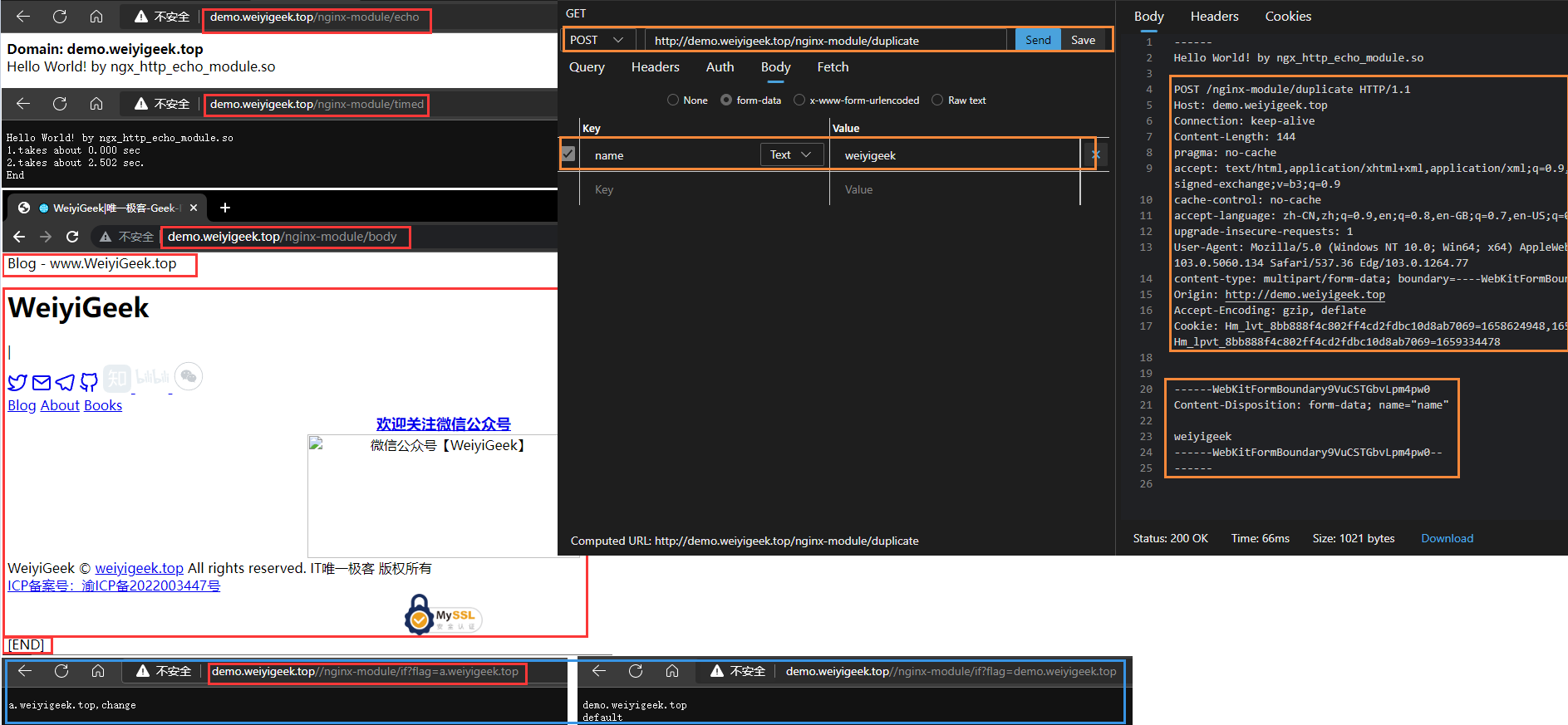 WeiyiGeek.use ngx_http_echo_module