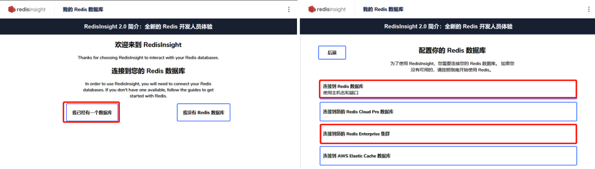 WeiyiGeek.redisinsight站點