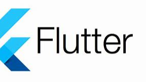 Flutter使用