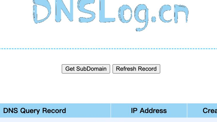 【Java开发记录】Dnslog访问记录模块实现（六）