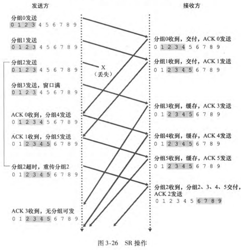 计算机网络「通关指南」-小白菜博客