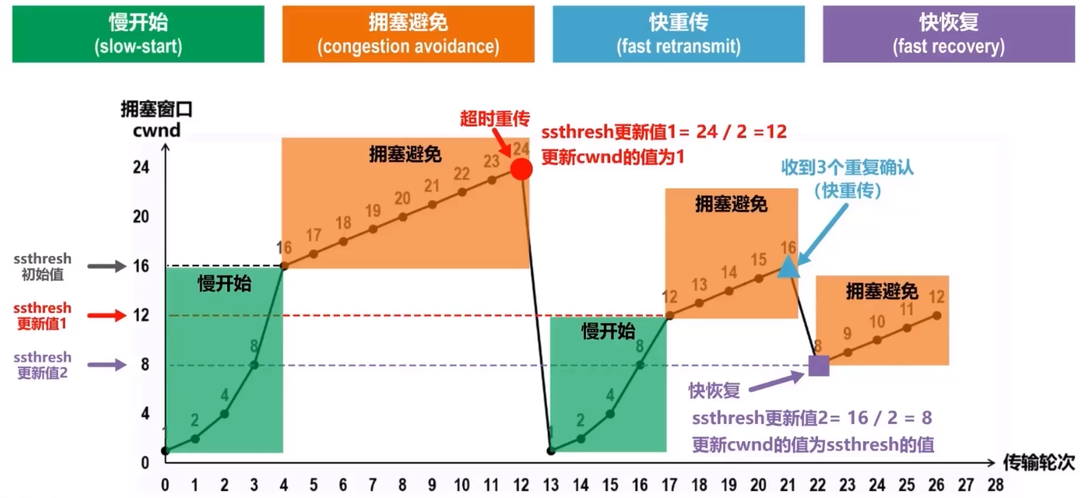 计算机网络「通关指南」-小白菜博客