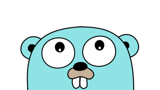 Golang 泛型的简单使用