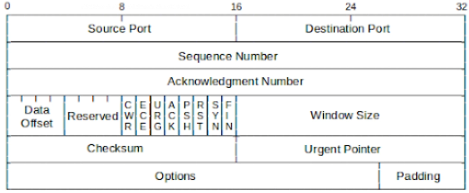 image-20220307020438696