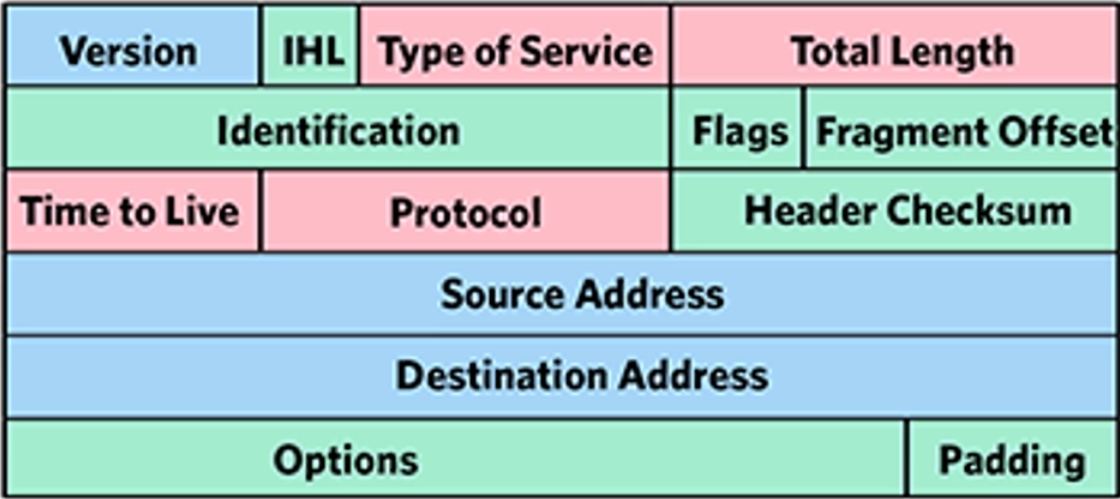 image-20220306020659404