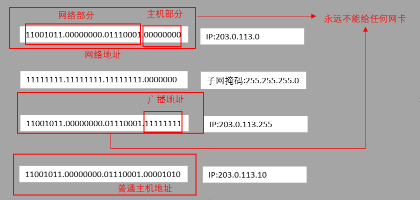 image-20220306020718642